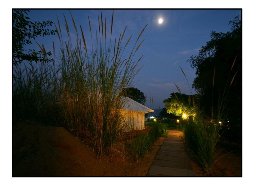 The Shergarh Sawai Madhopur Eksteriør billede